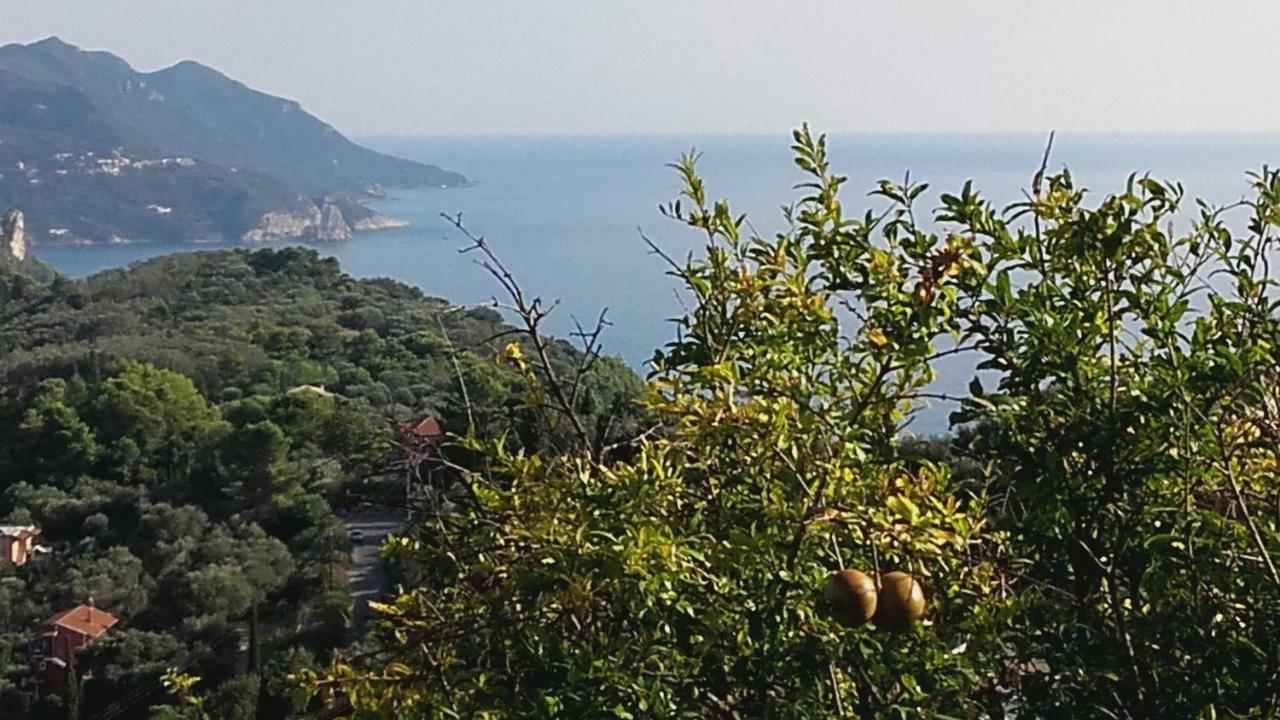 Kontis Apts Διαμέρισμα Πέλεκας Εξωτερικό φωτογραφία